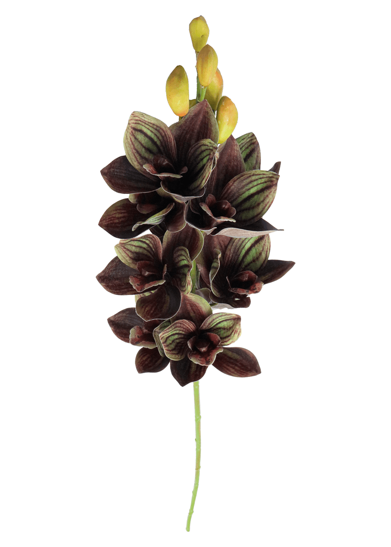 13022-DETALHE-.png