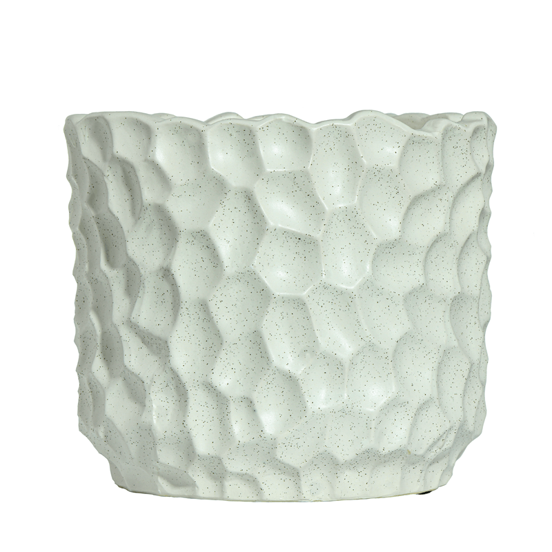 23048--1-.png