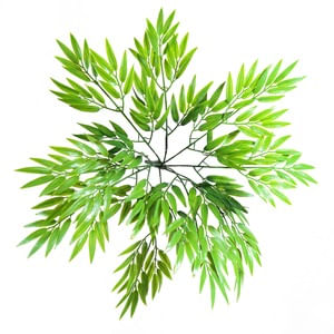 BUQUE DE BAMBOO X9 42CM