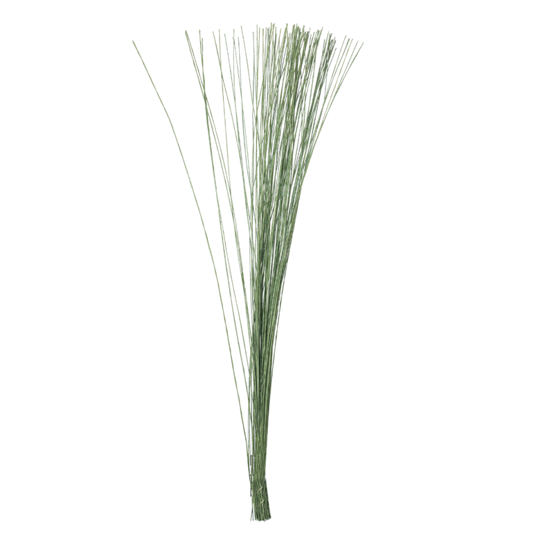 ap1.png