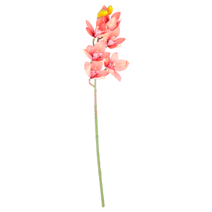 ORQUIDEA X6