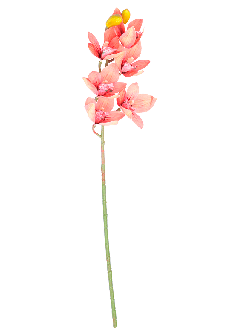 11025.png