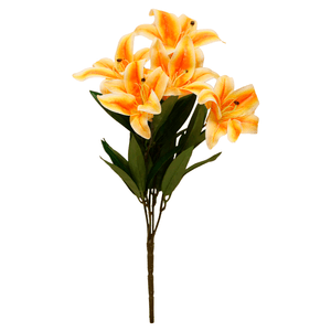 FLOR LÍRIO