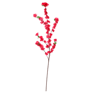 CEREJEIRA