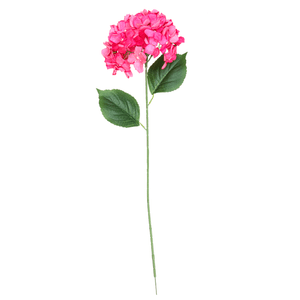 Haste De Hortensia 80Cm