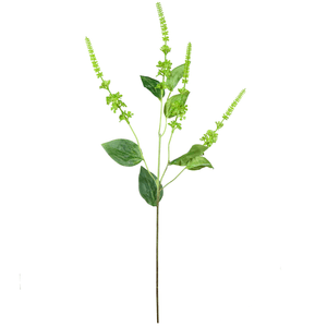 LAVANDA 66CM