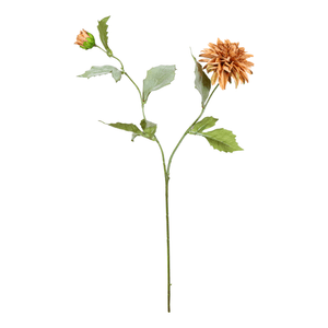 DALIA X2 65CM