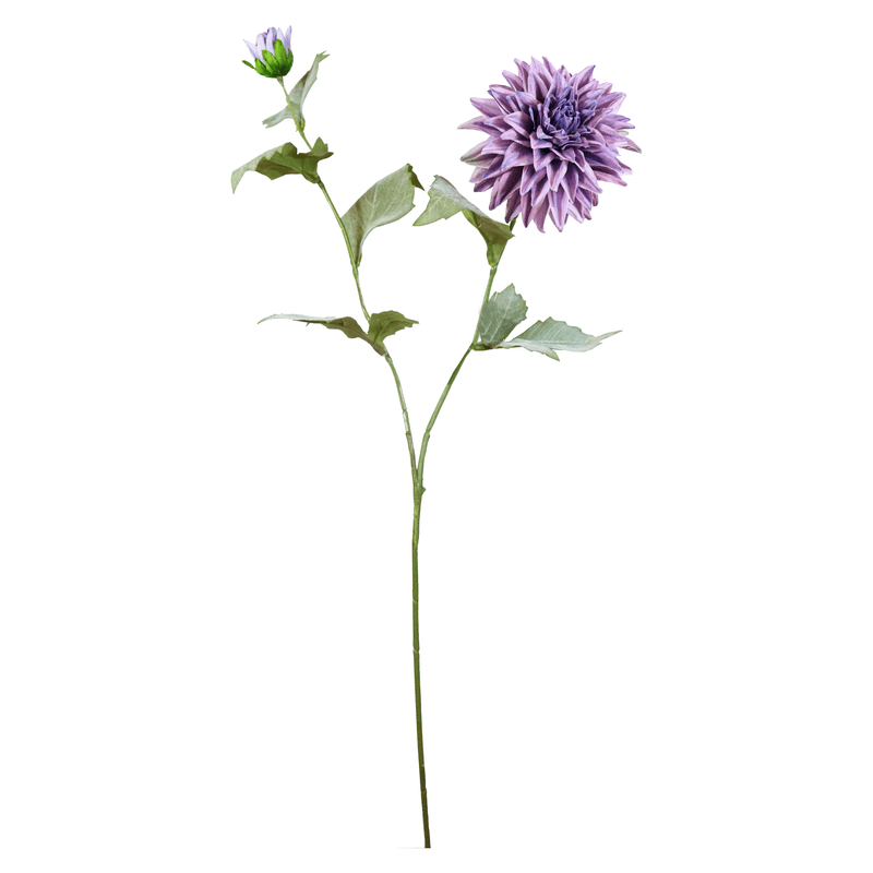 11333.png
