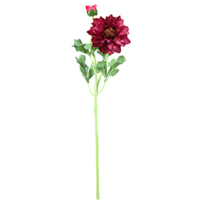 Dalia X2 54Cm