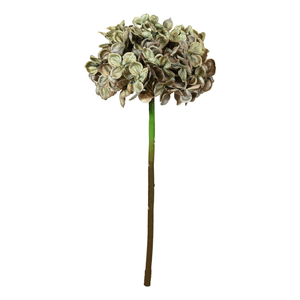 Hortensia 46Cm