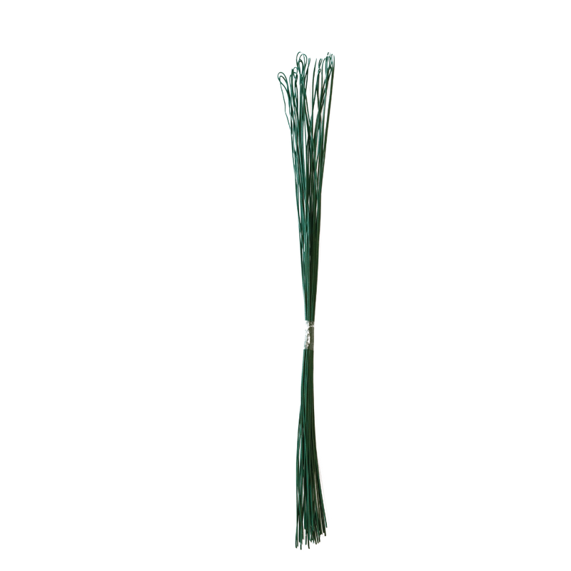 ar1.png