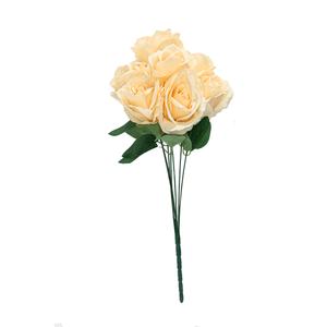 Bouquet X7
