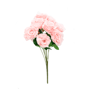 BOUQUET X9 BOTÕES ABERTOS
