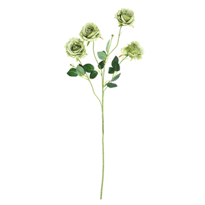 HASTE DE ROSA X4 75CM