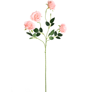 HASTE DE ROSA X4 75CM