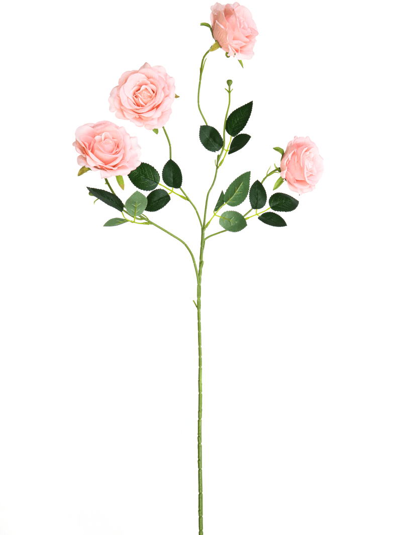 11068.png