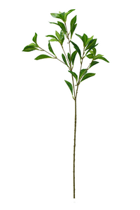 12182.png