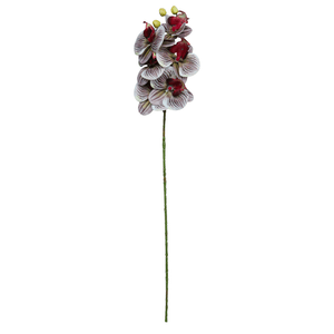 ORQUIDEA X6 69CM