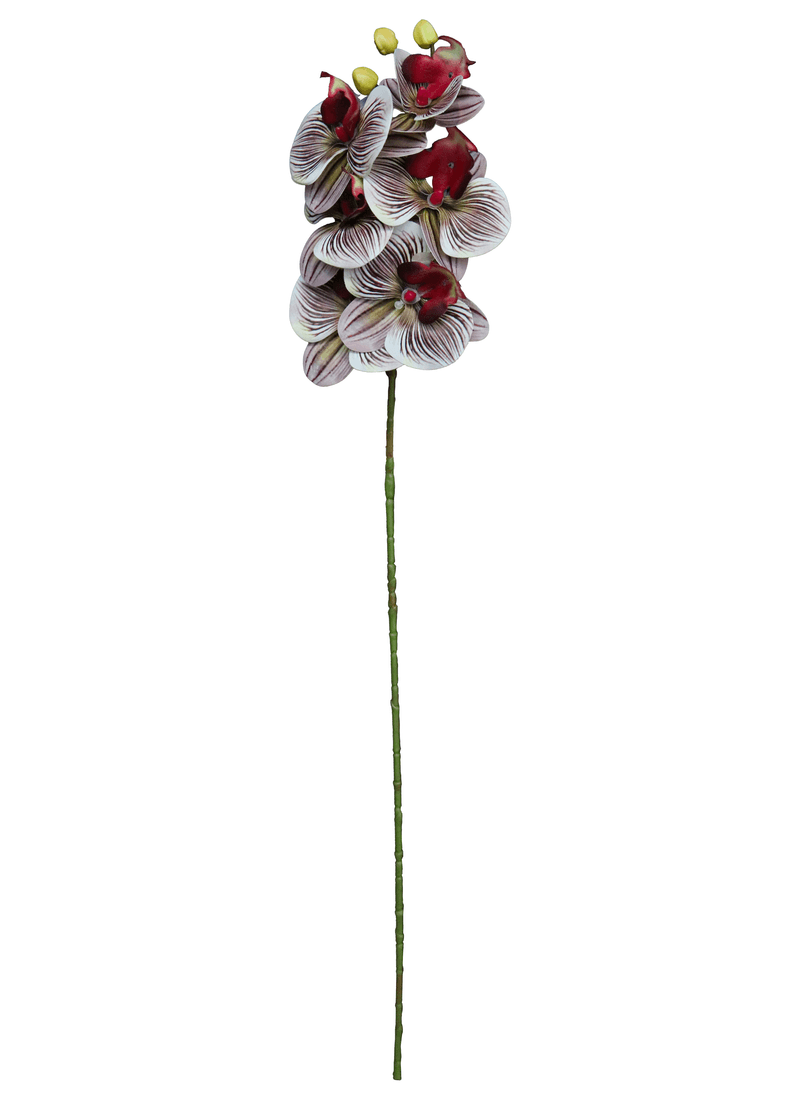 13055.png