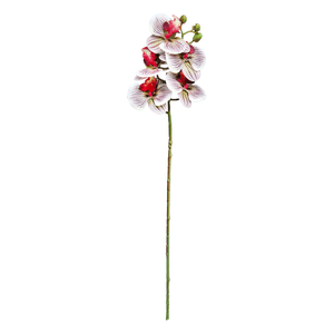 Orquídea X6 69Cm