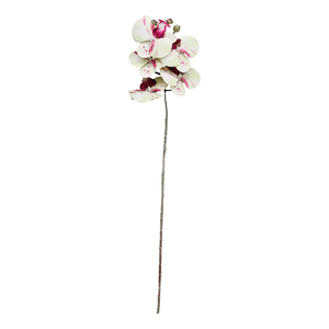 Orquídea X6 69Cm