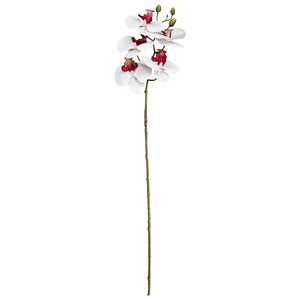 Orquídea X6 69Cm