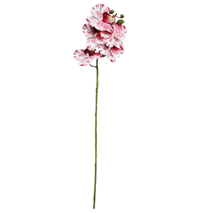 Orquídea X6 69Cm