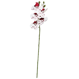 Orquídea X6 69Cm
