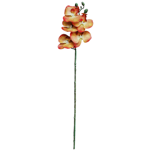 Orquídea X6 69Cm