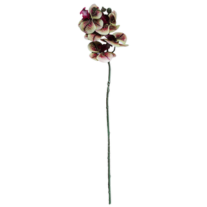 Orquídea X6 69Cm