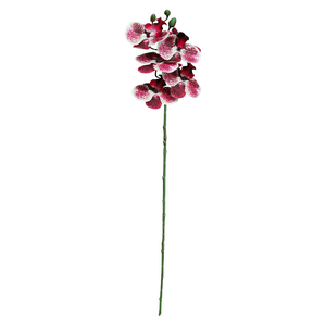 Orquídea X6 69Cm