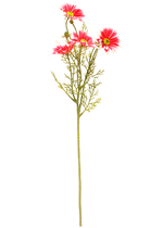 13044.png