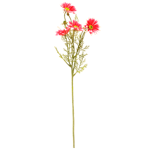 Gazânia 61Cm