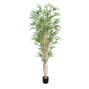 BAMBOO HASTE NATURAL C/GALHO SECO LONGO