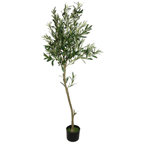 OLIVE TREE 165CM