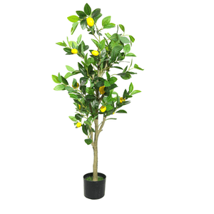 LEMON TREE