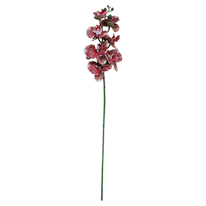 Orquidea X7 95Cm