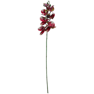 Orquidea X7 95Cm