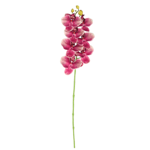 ORQUIDEA FHALAENOPSIS 76CM