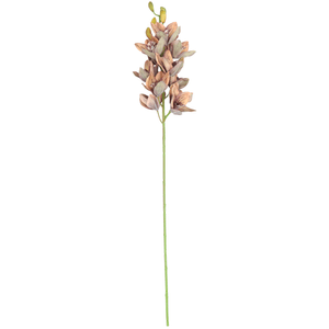 Orquidea Cymbidium 89Cm