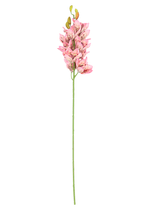 13026.png