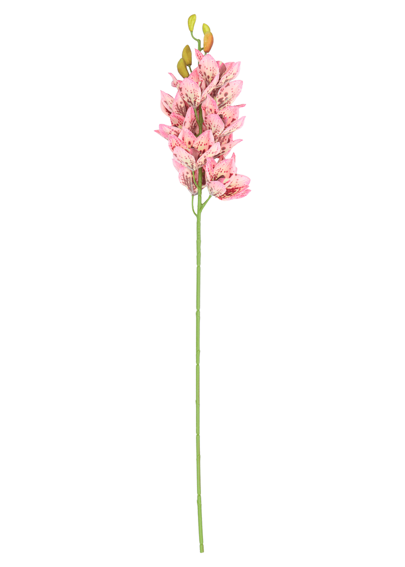 13026.png