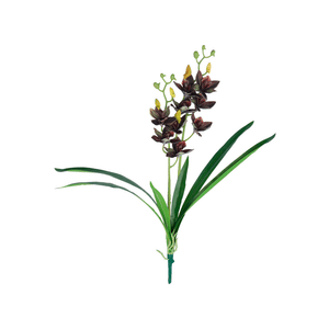 Orquidea X2 Folha 62Cm