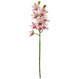 ORQUIDEA CYMBIDIUM 67CM