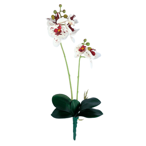 ORQUIDEA X2 FOLHA 47CM