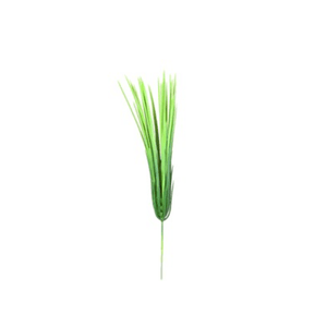 BROTO CAPIM 42CM