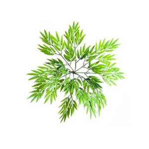 BOUQUET BAMBOO X9 42CM