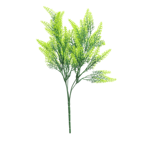 CAPIM VERDE