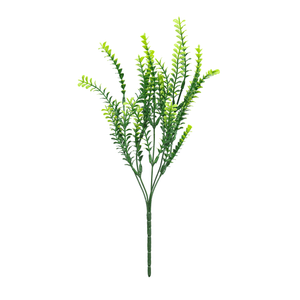 GALHO VERDE