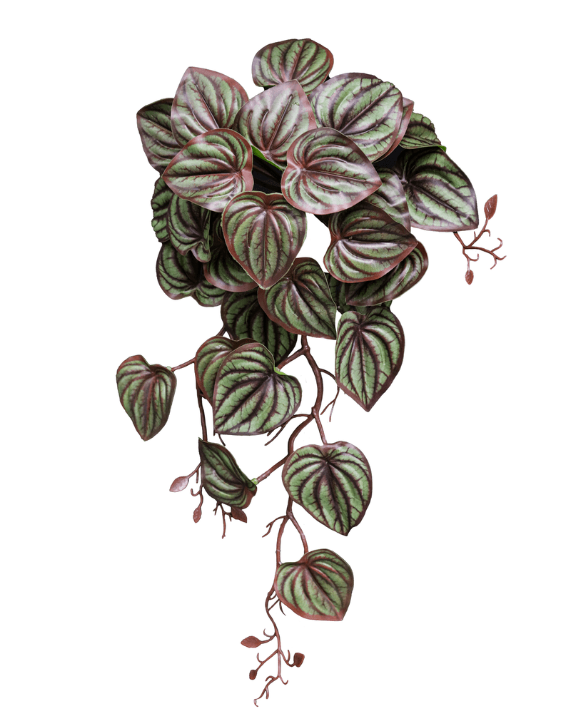 12071.png